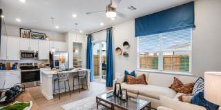 Yardly Elm Gallery 6