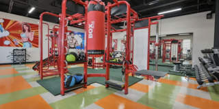 The Tree Apartments Gallery 10