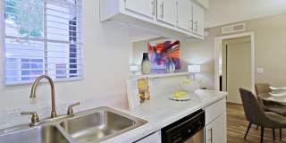 Rise Desert West Gallery 64