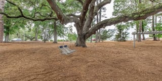 Arbor Trace Gallery 25