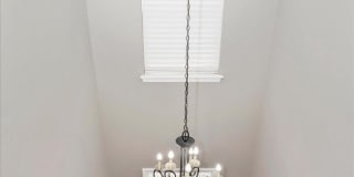 3907 BRAVEHEART Circle Gallery 28