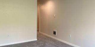 Spacious Seattle Condo - $2,200 Gallery 4
