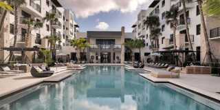 Palmera Gallery 2