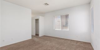 8277 Brilliant Pompon Place Gallery 15