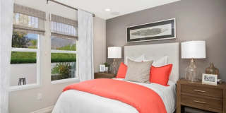 1204 Oliva Court Gallery 1