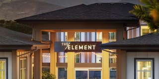The Element Gallery 24