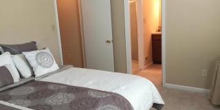 3336 WEBLEY CT Gallery 8