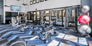 AMLI at Escena Gallery 6