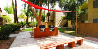Camino Tomas Gallery 5
