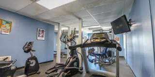 Hidden Colony Gallery 26