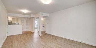 River Oaks Gallery 44