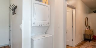 The Sawyer Student Living Gallery 19