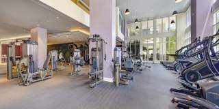 Alluvion Las Olas Alluvion Las Olas Gallery 27