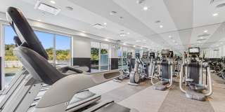 Continuum Gallery 19