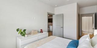 The Belle at the Lamar Gallery 51