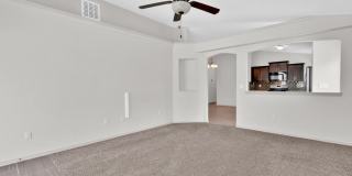 14900 TIM HARDAWAY Gallery 8
