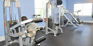 Alexandria Park Gallery 19