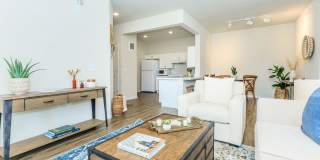 Eight 99 at Hazelwood Gallery 16