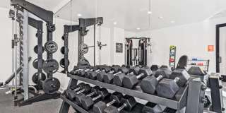 The Soleil Gallery 18