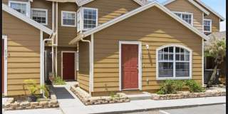 623 Coconut Palm Way Gallery 1