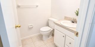 5850 CYPRESS GARDENS Boulevard Gallery 3