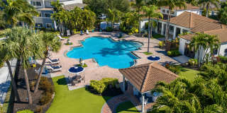 Lexington Palms at the Forum Gallery 27