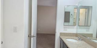 2524 Silver Shadow Drive Gallery 51