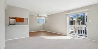 Lake Houston Pines Gallery 7