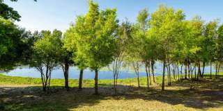 J. Ardin at Apopka Gallery 28