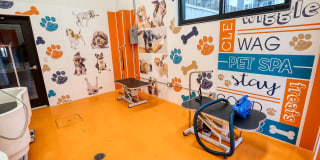 Meridian at the Port Gallery 15