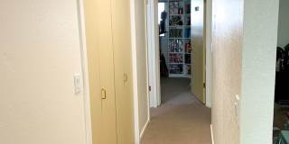 Evergreen Apartments Gallery 20