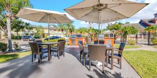 TGM University Park Gallery 26