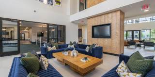 Alleia Watters Creek Gallery 7