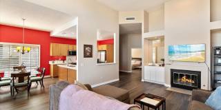 54838 Oak Tree Gallery 11