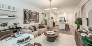 Southhaven Gallery 17