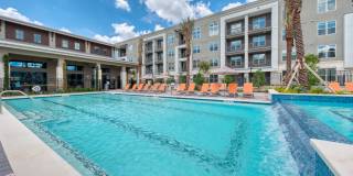 Berkshire at the Rim Berkshire at the Rim Gallery 37