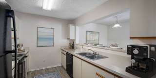 Tampa Woods Apartments Gallery 18