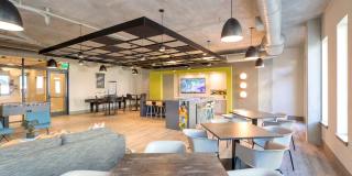 Lofts at Monroe Gallery 4