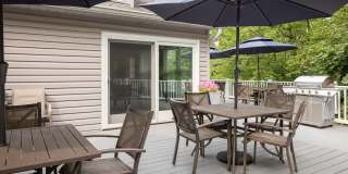 The Meadows Gallery 9