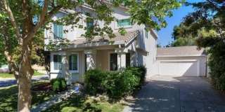 Large Corner Lot Gallery 1