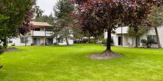 Arbor Pointe Gallery 29