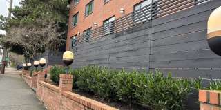 LIVE IN THE HEART OF GREEN LAKE SEATTLE'S MOST ICONIC PARK Gallery 9