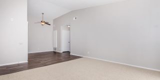 Mountain Springs Gallery 26