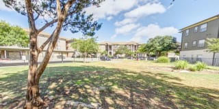 Abelia Flats Gallery 20