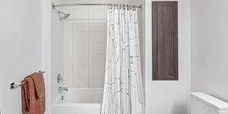 Orlo & Alba Gallery 62