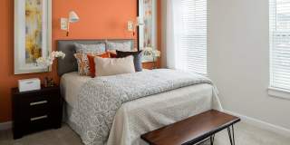 Avana East Main Gallery 9