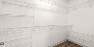 Olympus Carrington Gallery 10