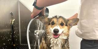 Powder Mill Apartments Gallery 26