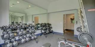 The Park at Research Forest Apartments Gallery 23