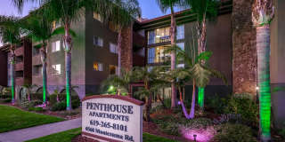 Penthouse Gallery 1